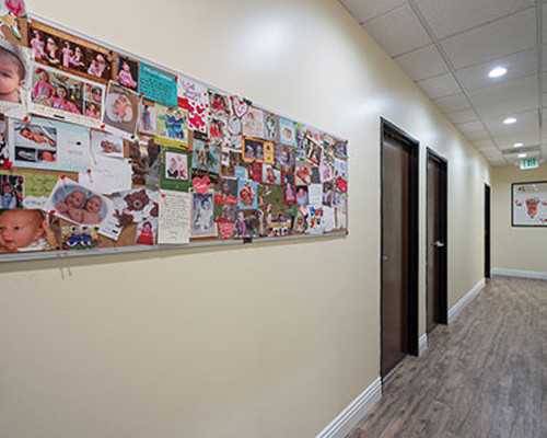 国内供卵价位,血友病做三代试管婴儿费多少钱