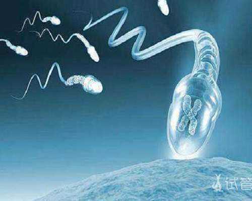 国内助孕供卵,我和老公想要做试管生一个男孩，请问选择哪家医院更靠谱？