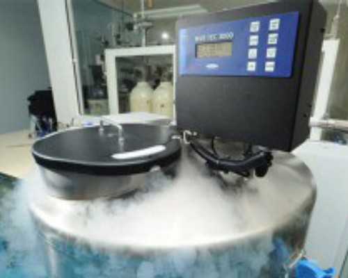 国内生殖试管供卵医院,试管婴儿选择拮抗剂方案促排一共要多少天？