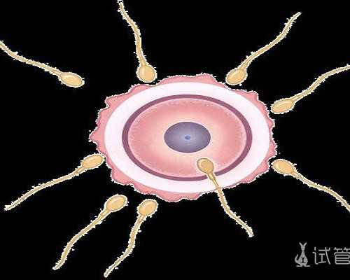 中国开始供卵的时间,深圳哪家可以做供卵，拯救衰弱的性欲