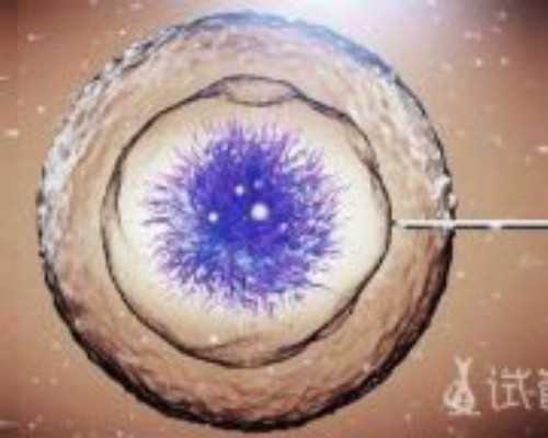 中国供卵试管婴儿医院,二胎要不上？鹿茸备孕那些事！