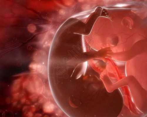 国内供卵哪家好排名,惠州三代试管婴儿*混血宝宝价格是多少