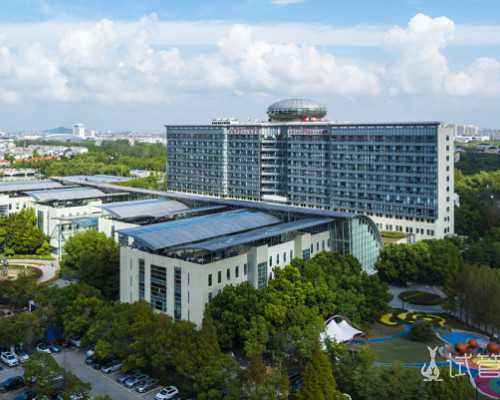 国内代怀试管婴儿,2026产褥垫十大品牌分享，十月结晶vs子初哪个好一文讲清