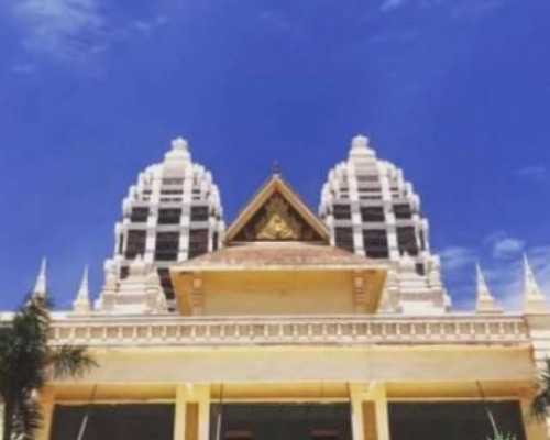 国内代生包生女孩,60秒get肉苁蓉对卵泡有什么用处，想更快好孕戳