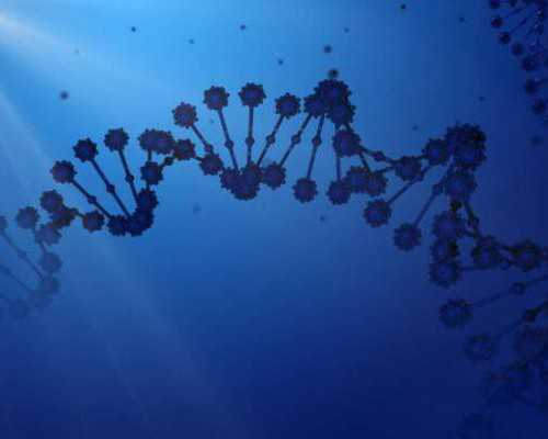 国内代怀产子费用,试管婴儿双胞胎的概率是多少？试管婴儿双胞胎*吗