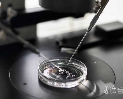 国内代怀宝宝公司,做试管婴儿前的准备以及条件！