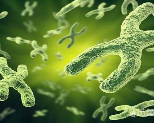 国内代生男孩电话,做一个试管婴儿多少钱(试管婴儿的各项费用明细)