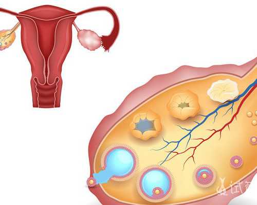国内代生孩子中介,婴儿趴着睡好不好，关于宝宝睡眠的那些事