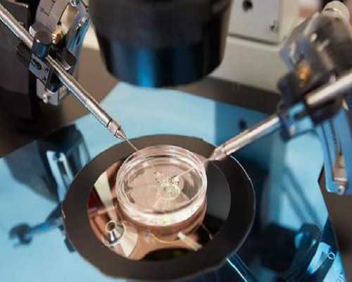 国内供卵的机构在哪,做试管养囊费用大约多少呢，有哪些项目