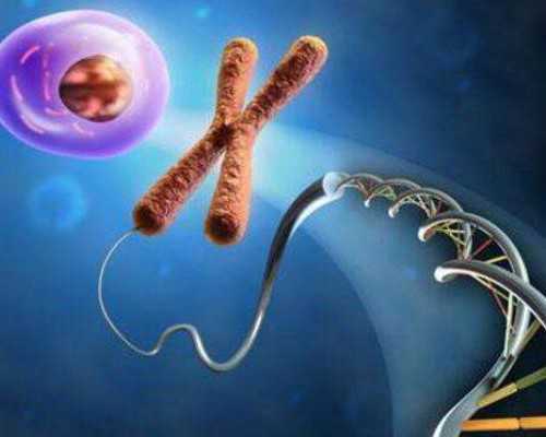 中国正规的供卵医院有哪些,试管婴儿移植前注意事项与饮食方面该吃什么？