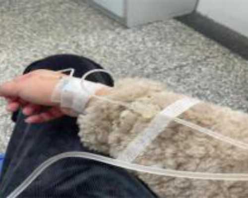 国内代生孩子电话,长春试管医院挑选攻略(看看最出名的医院是哪家)