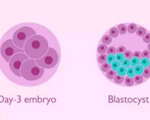 国内供卵试管费用大概多少,宝妈们需谨记儿童在麻风疫苗接种后要注意这4点