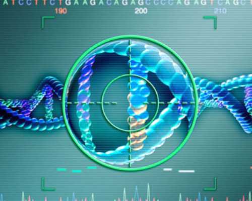 国内代怀孕排名,听说第三代试管可以选择性别？