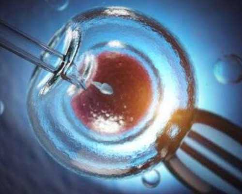 国内代生孩子经历,试管移植首次失败  (二次尝试费用全攻略 )