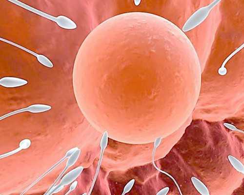 国内供精又供卵费用多少,月经量少有排卵吗，月经量少会不会排卵