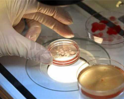 国内供卵官网,马来西亚自助三代试管成功率和价格