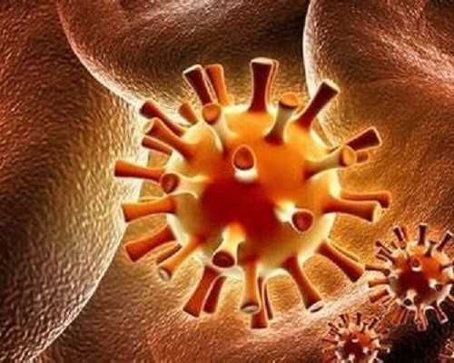 国内可以试管供卵,奶嘴多长时间换一个合适