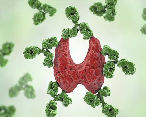 中国正规的供卵机构有几家,促排针的作用(促排卵针的功效与作用)