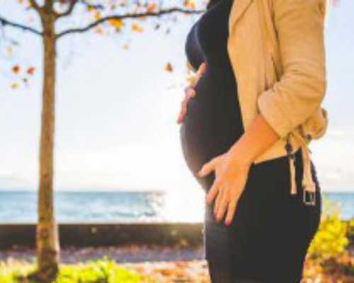 国内供精供卵生下孩子多少钱,试管婴儿胚胎一级(做试管婴儿在胚胎培养过程中胚胎分裂缓慢)