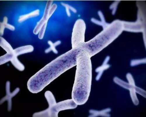 国内供卵一颗卵多少钱,2026三代试管包生男孩价格明细一览!